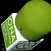 Logo Ona Codinenca