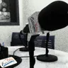 Radio Pego