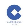 Bierzo 91.7 fm