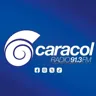 Radio Caracol 91.3 FM